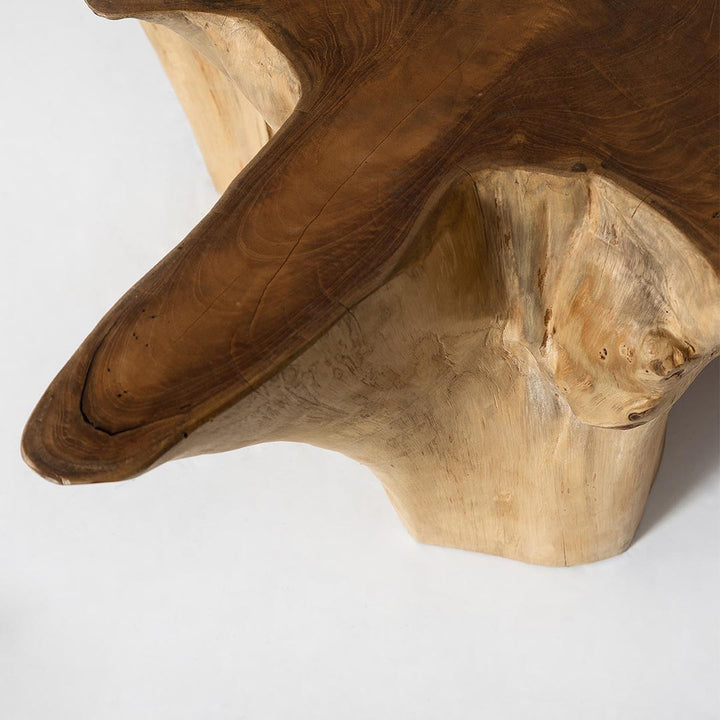 Natura Anise Coffee Table - Decoronto