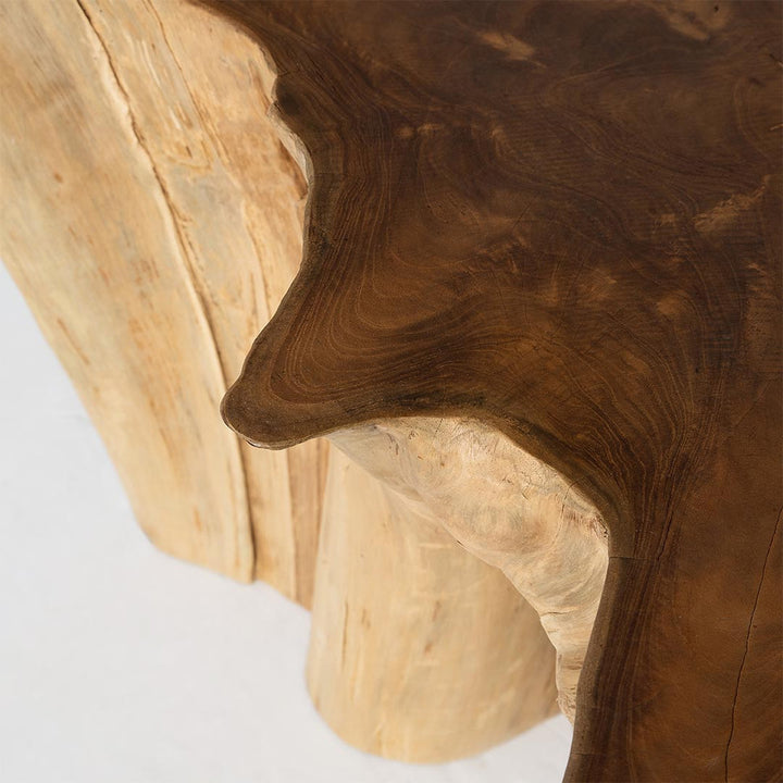 Natura Anise Coffee Table - Decoronto