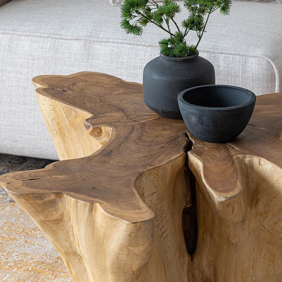 Natura Anise Coffee Table - Decoronto