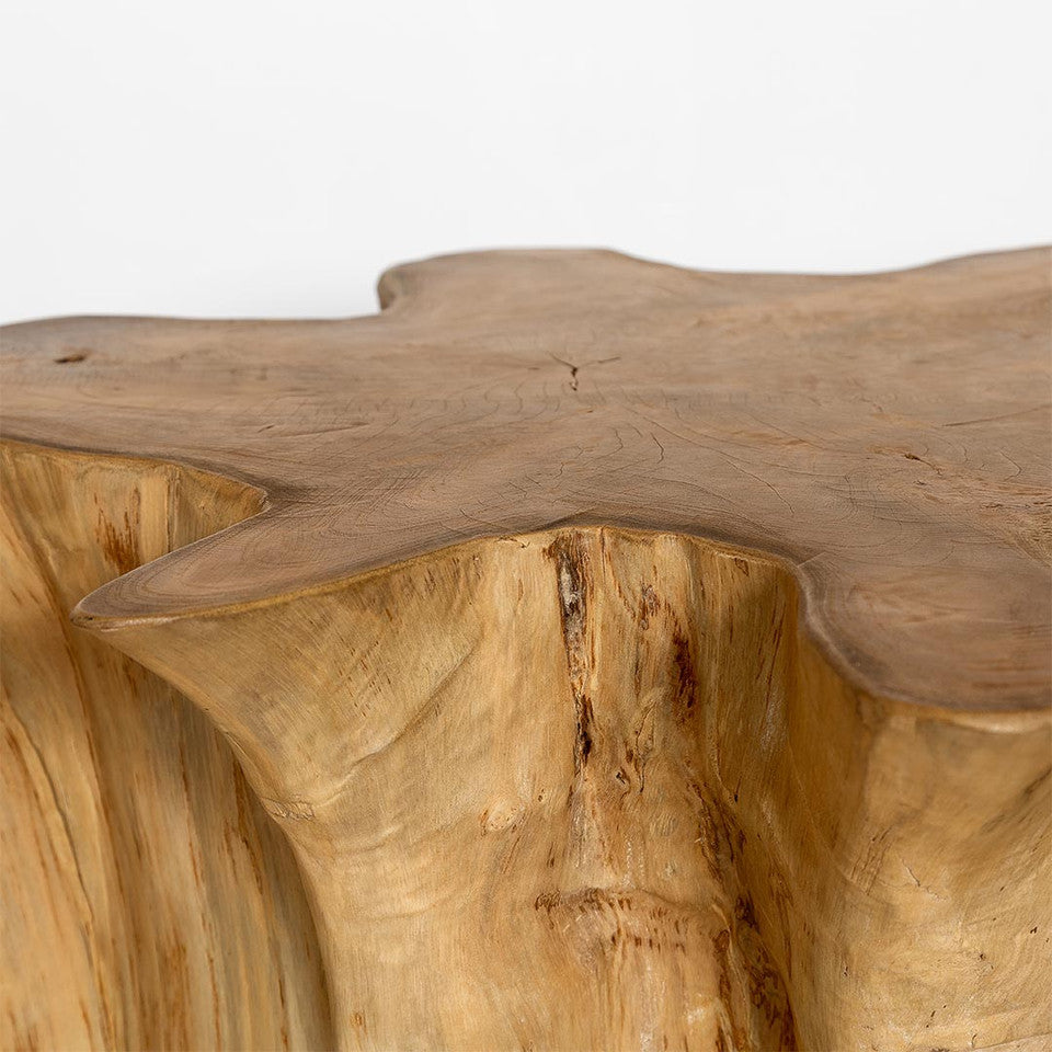Natura Anise Coffee Table - Decoronto