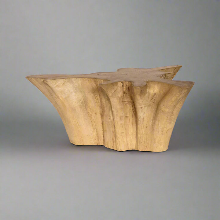 Natura Anise Coffee Table - Decoronto