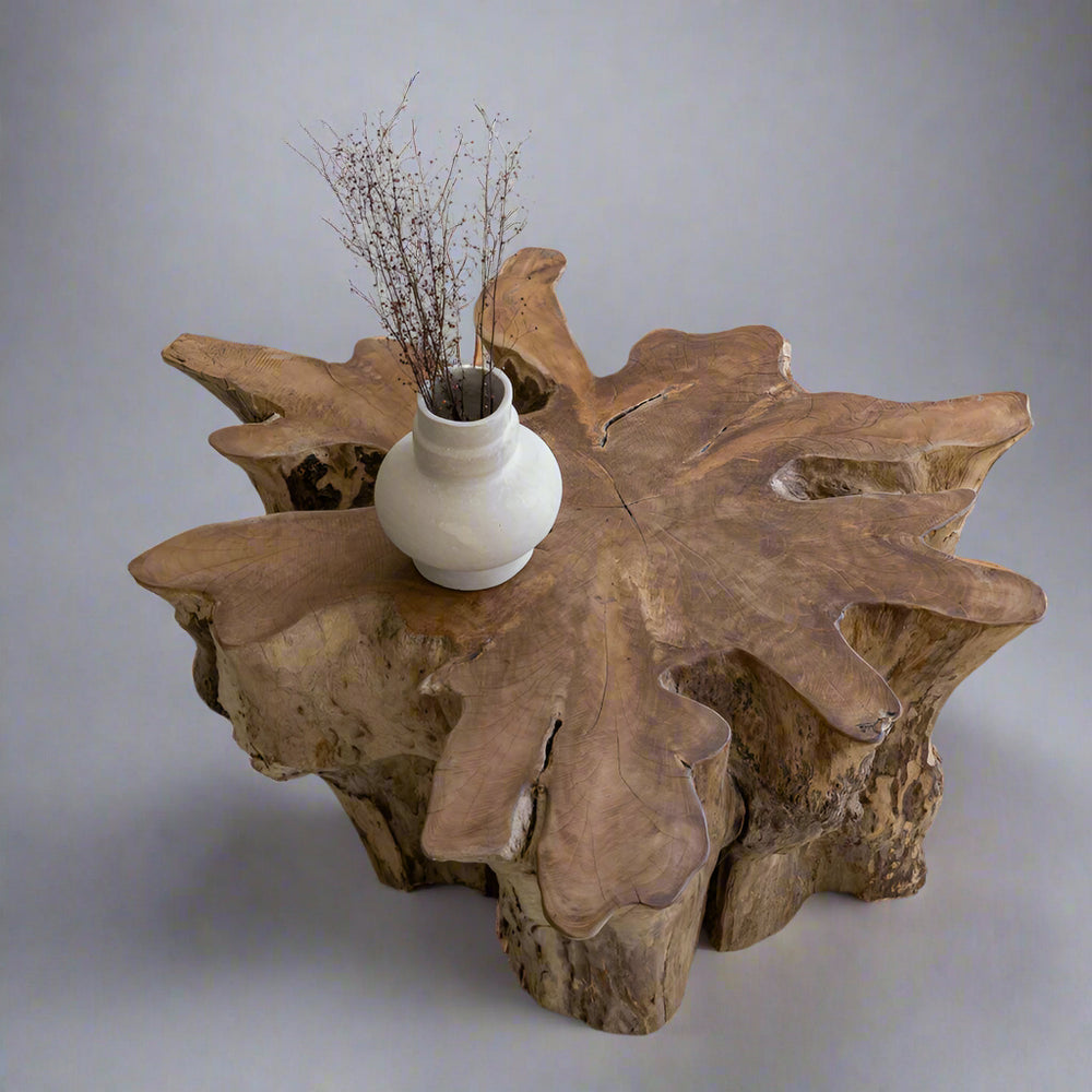 Natura Anise Coffee Table - Decoronto