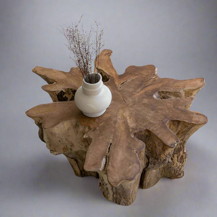 Natura Anise Coffee Table - Decoronto